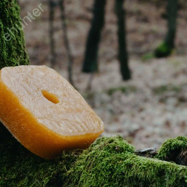 Vnadidlo pre zver – s príchuťou medu