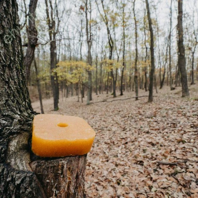 Vnadidlo pre zver – s príchuťou lesného ovocia